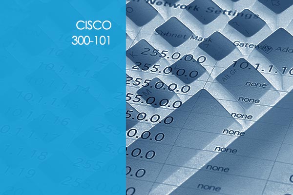 300-101