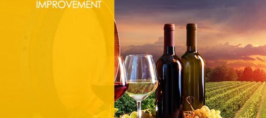 wine-making